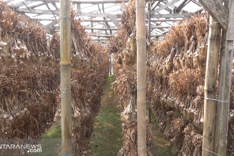 Disperindag Jawa Barat optimalkan pasokan bawang putih lokal