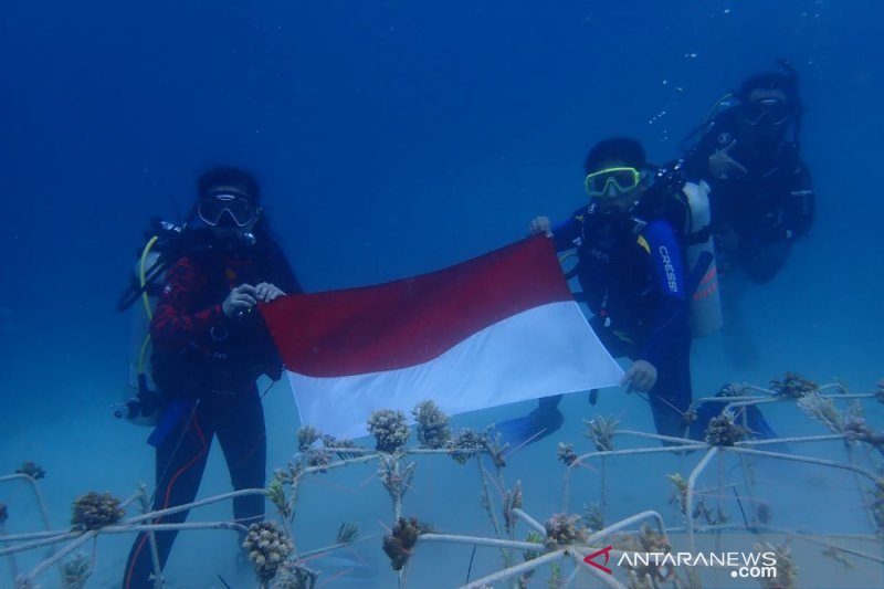 Ilegal fishing masih marak di perairan Togean