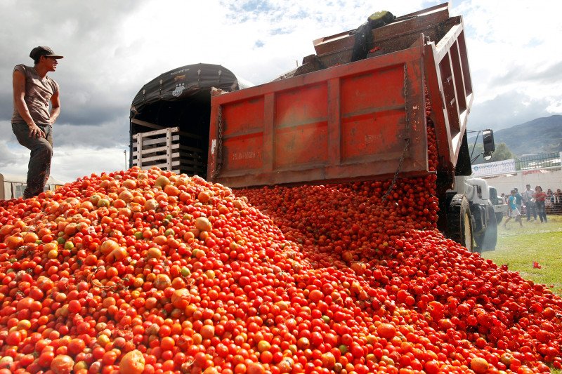 Petani Meksiko donasikan tomat karena permintaan sepi dampak corona