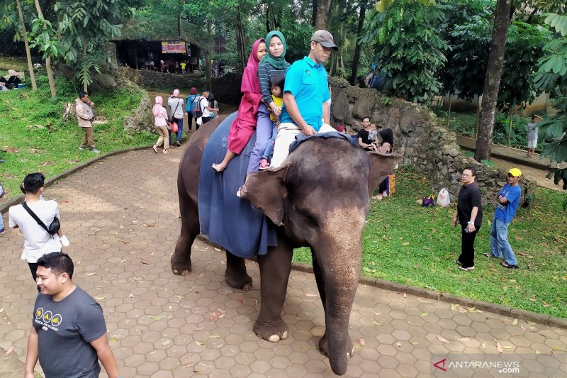 Ribuan warga berwisata kunjungi Kebun Binatang Bandung