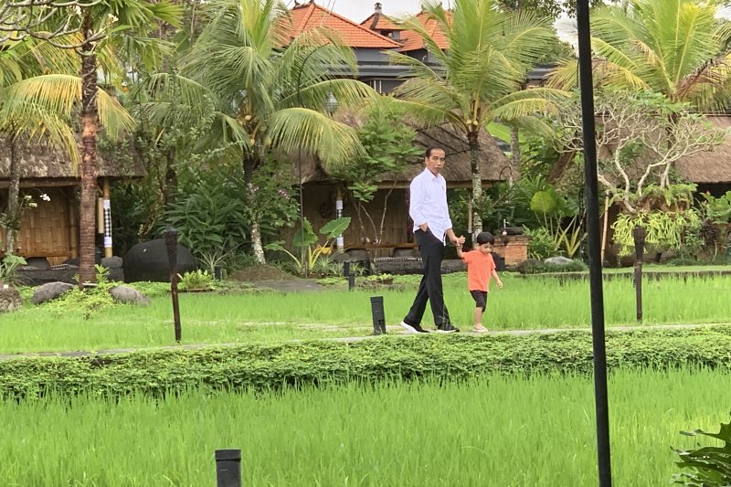 Kunjungan kerja Jokowi diselingi momong Jan Ethes di Bali