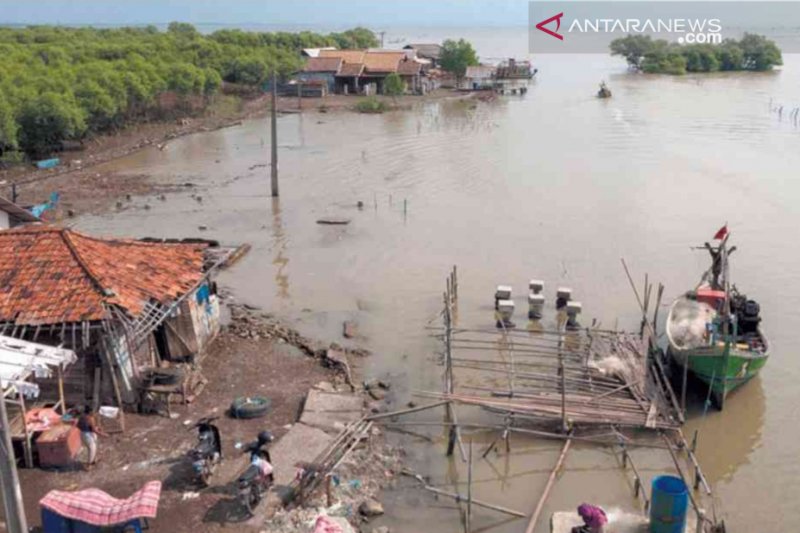 Abrasi di Muarajaya Bekasi akibatkan puluhan rumah rusak