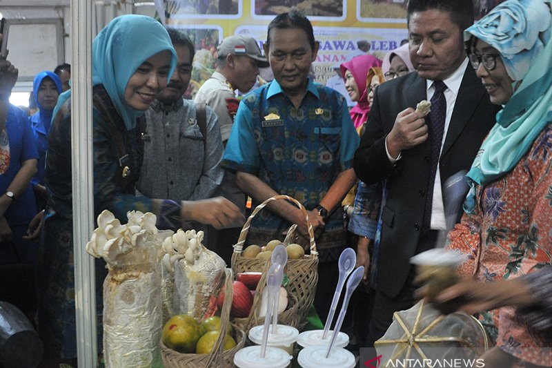 Gubernur Sumsel buka Palembang Expo