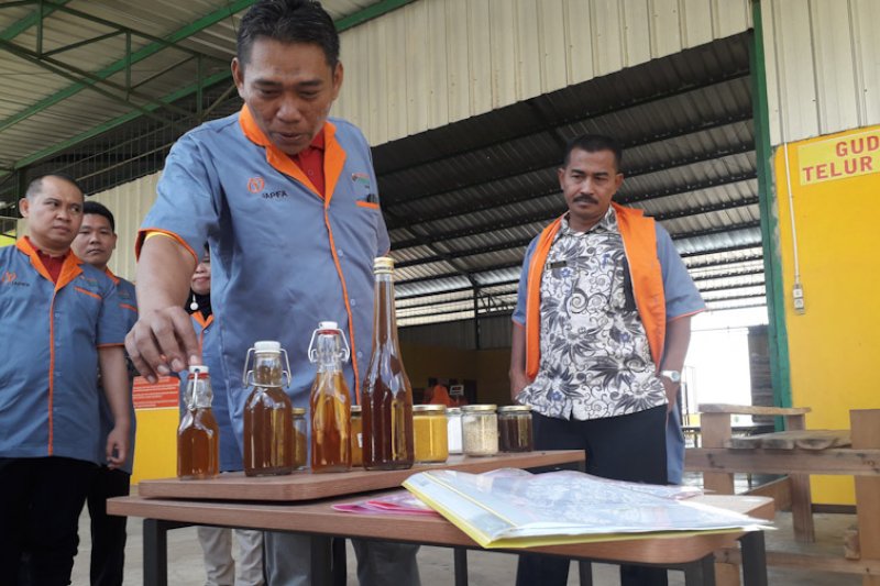 Berbagai prosedur untuk memasuki Peternakan Telur Herbal