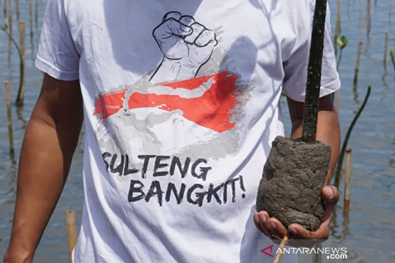 Tanam mangrove di lokasi bekas tsunami