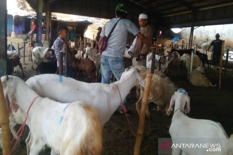 Pemkab Cianjur keluarkan larangan berjualan hewan kurban di pinggir jalan