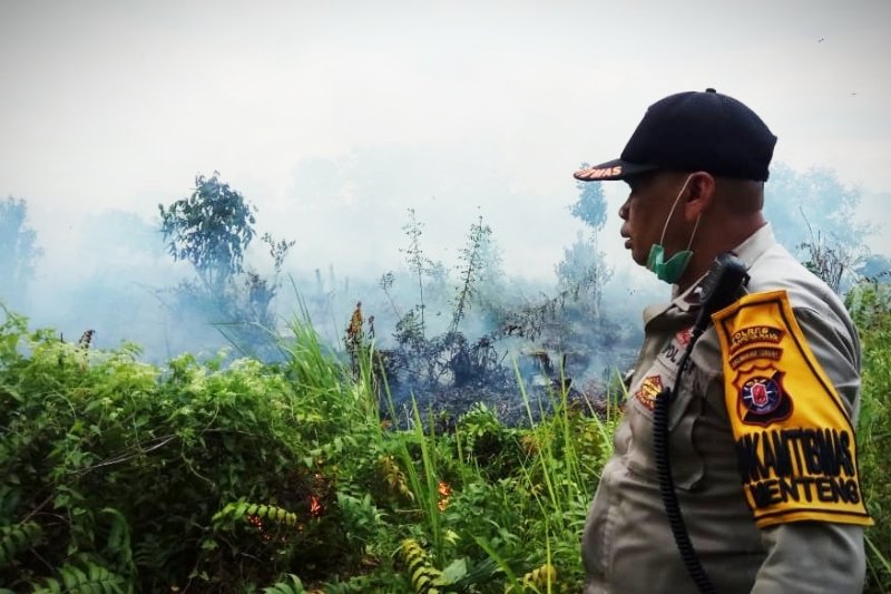 Polda Tangkap Empat Tersangka Pembakar Lahan Antara News Kalimantan