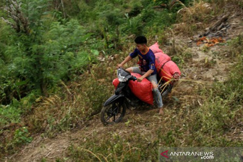 Jasa ojek pertanian