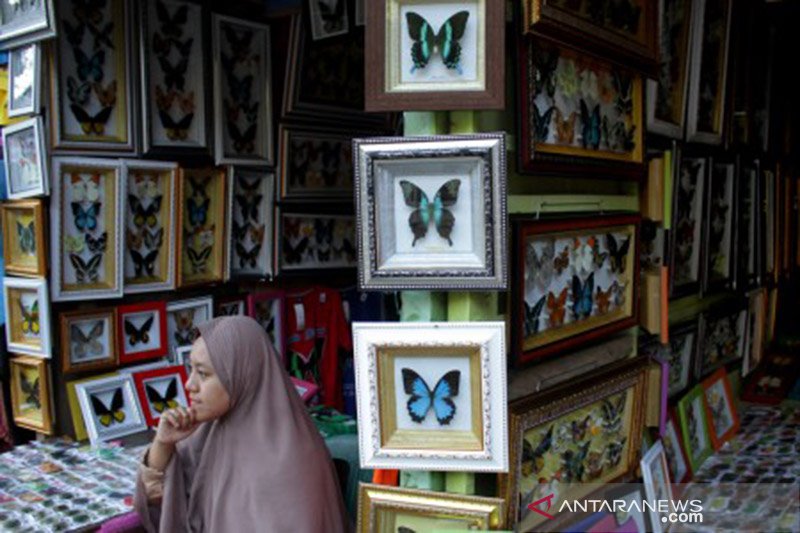 Penjual pigura kupu-kupu