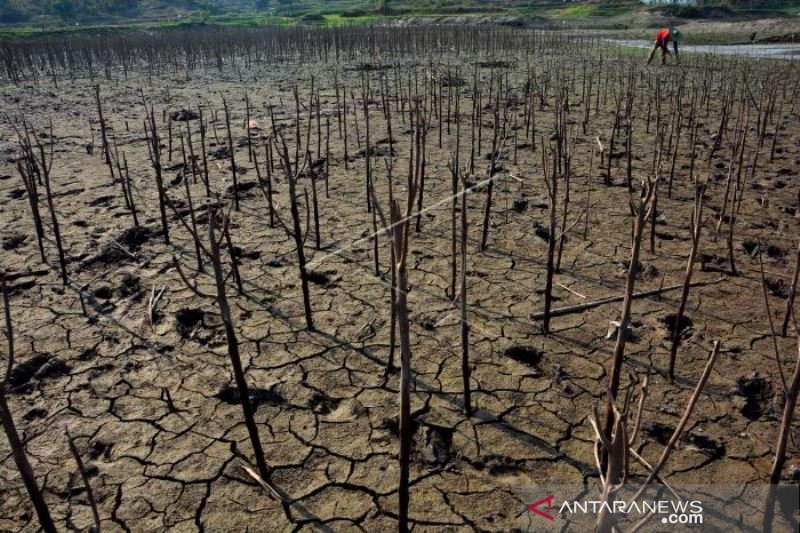 WADUK GROJOKAN JOMBANG MULAI MENGERING