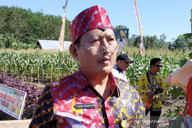 Petani Kotim diimbau mewaspadai kekeringan