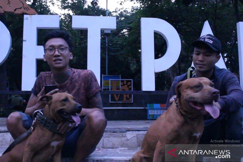 Pet Park Bandung tak terawat dikeluhkan warga  [Video]