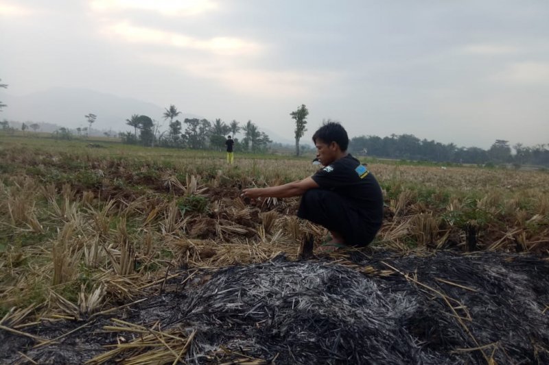 BPBD Cianjur: 76 desa di 13 kecamatan mengalami kekeringan