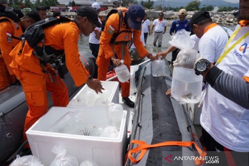 Pelepasan ikan endemik Capung Banggai