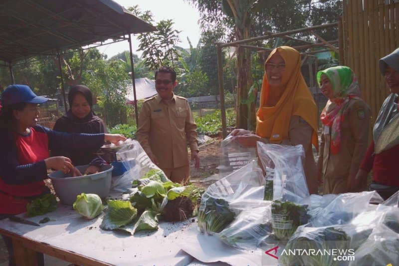 Kelompok tani wanita produksi sayuran bebas pestisida