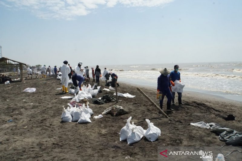 Pertamina bersihkan gumpalan minyak di bibir pantai Karawang