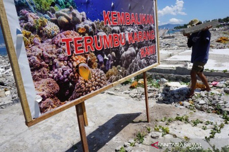 Transpalasi terumbu karang di lokasi tsunami