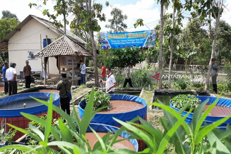 Pemkab Gunung Kidul Menggencarkan Budi Daya Lele Kolam Bulat Video Antara News Yogyakarta Berita Terkini Yogyakarta