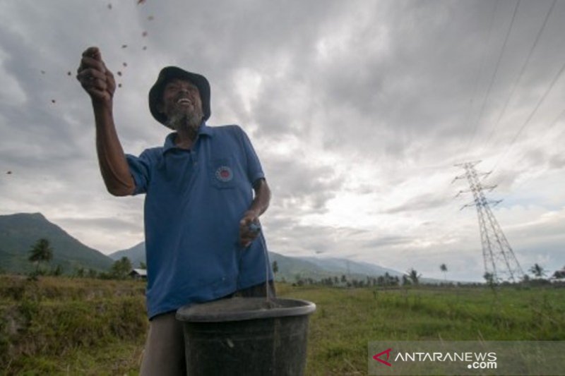 Tekan ongkos produksi jagung