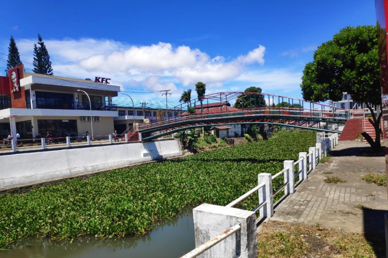 Eceng Gondok di Sungai Tondano, Butuh Perhatian Pemerintah