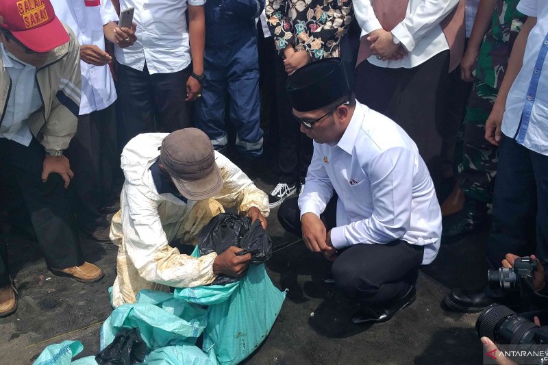 Ridwan Kamil kunjungi pantai tercemar minyak di Karawang