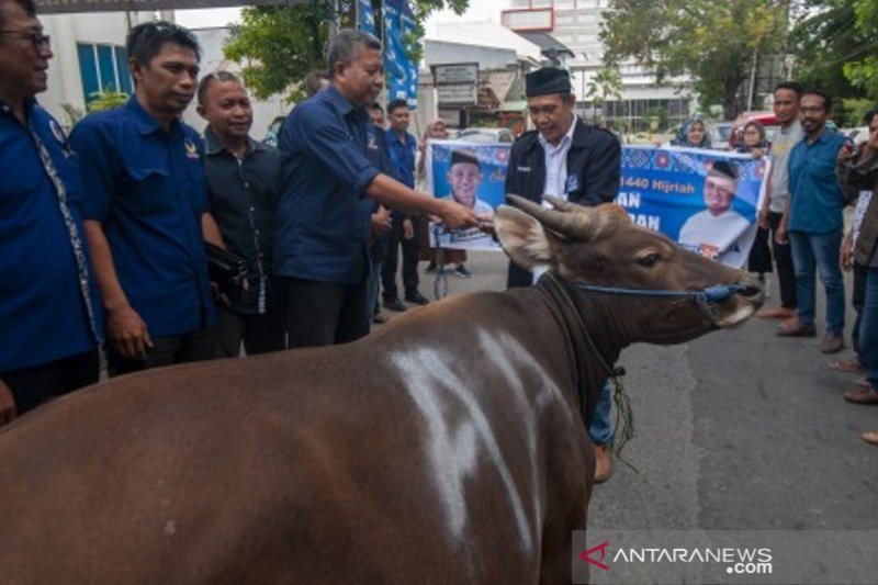 Bantuan sapi kurban untuk korban bencana