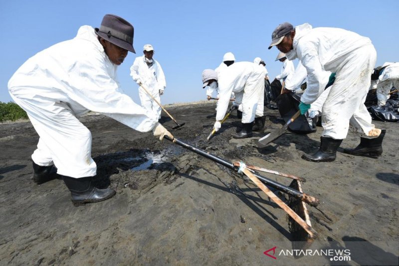 1.500 personel Pertamina bersihkan tumpahan minyak di Pantai Karawang