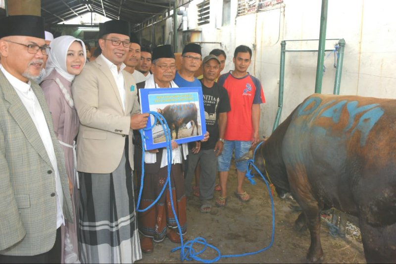 Ridwan Kamil imbau pembagian daging kurban tak gunakan plastik