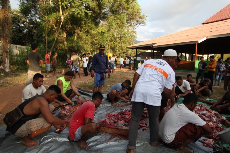 Global Qurban-ACT sembelih 15 sapi untuk warga korban gempa Lombok