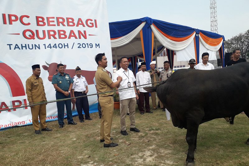 PT Pelindo bagikan 3.500 paket daging kurban