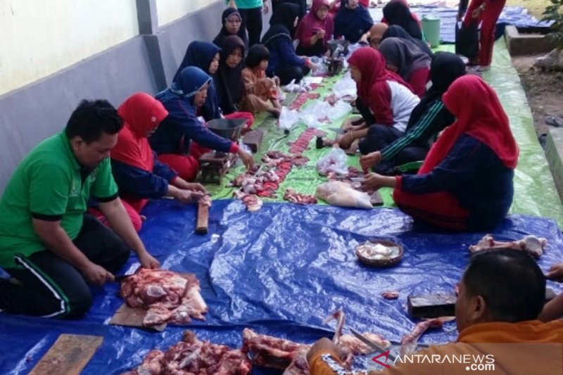 Madrasah Jembrana Tanamkan Semangat Berkurban Dalam Pelajaran Rutin Antara News Bali