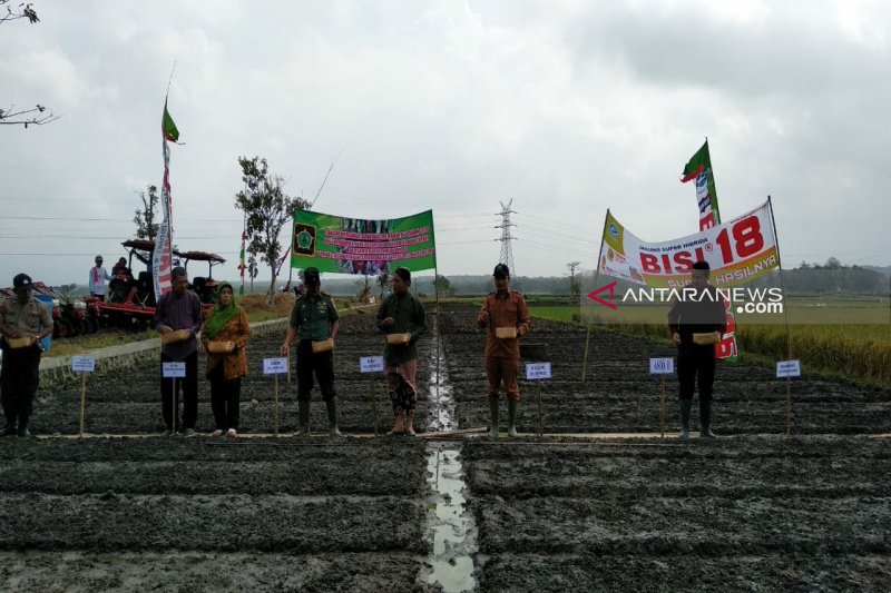 Petani bawang merah Desa Srikayangan tanam perdana