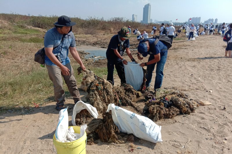 Pemerintah akan investigasi sumber limbah konveksi di pantai Ancol