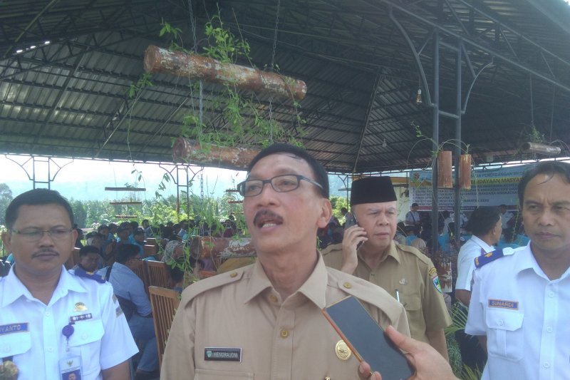 Pesisir Selatan akan bangun Tugu Rababdi pintu masuk ibu kota Kabupaten