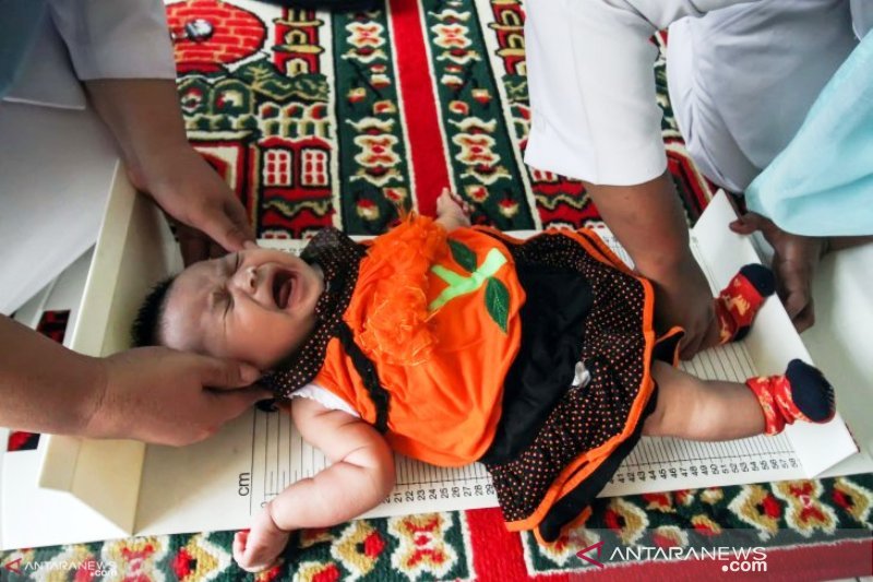 Asupan gizi cukup ibu hamil dapat mencegah stunting