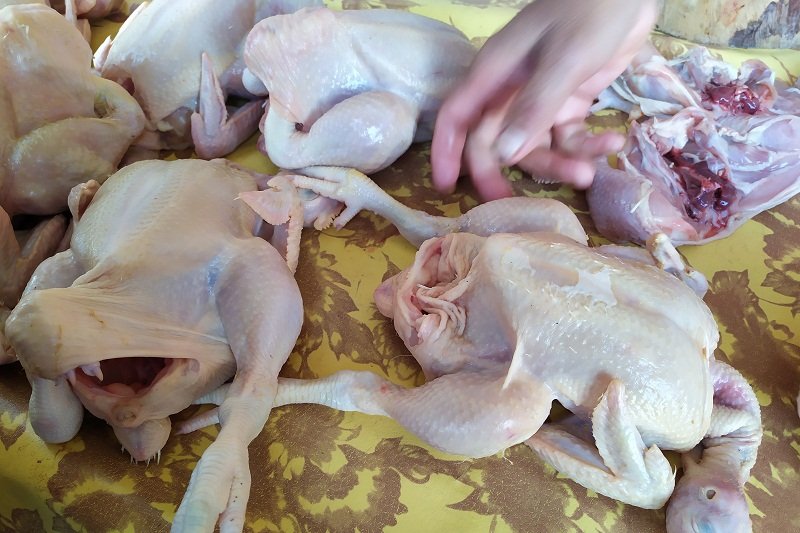Meski Idul Adha telah berlalu harga ayam potong di Bandarlampung belum turun