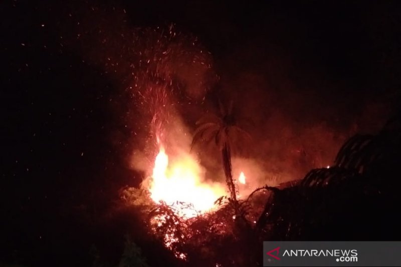 Kawasan hutan di Gunung Pogor Cianjur terbakar