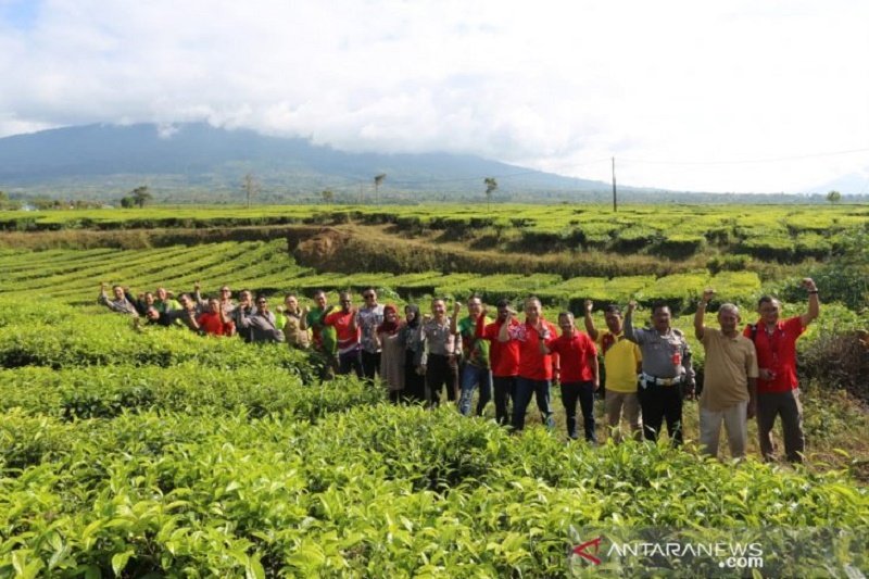 Kabupaten Pesisir Selatan jadi lokasi finis etape VIII balapan sepeda TdS 2019