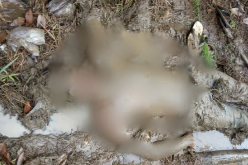 Image Print
