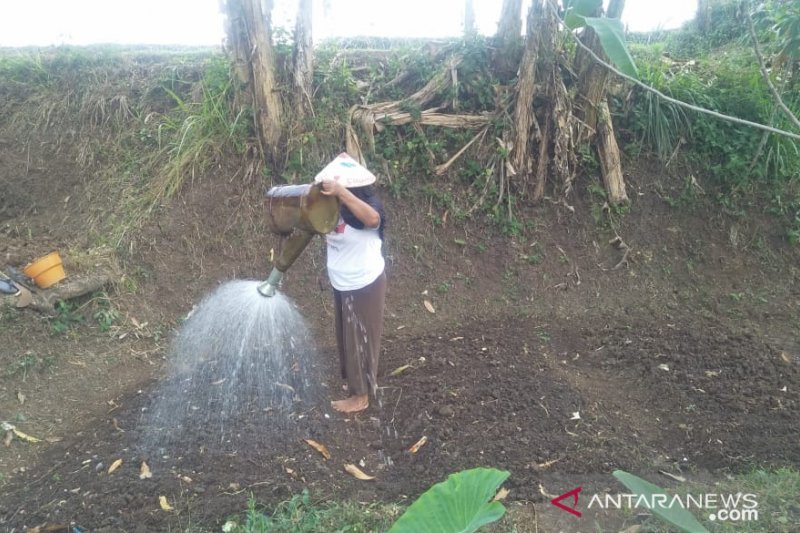 Mayoritas petani Cianjur belum tahu cara penggunaan Kartu Tani