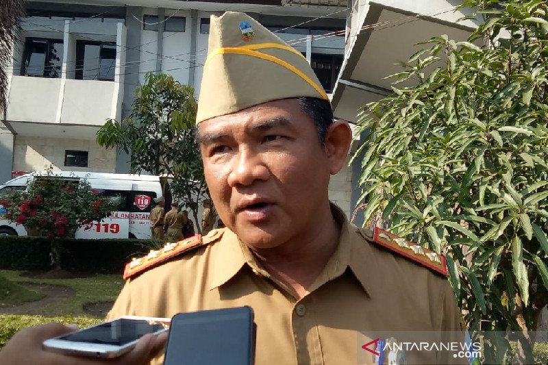 Hama tikus serang tanaman padi di sebagian persawahan Garut