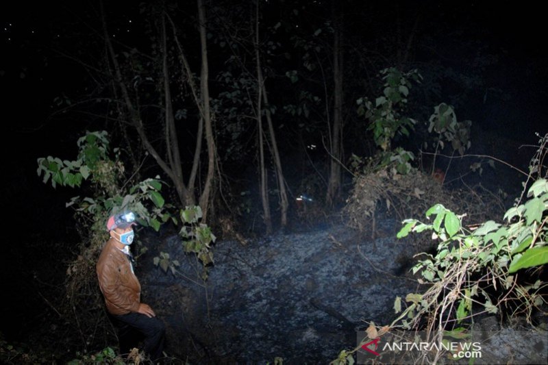 Kebakaran hutan di Gowa