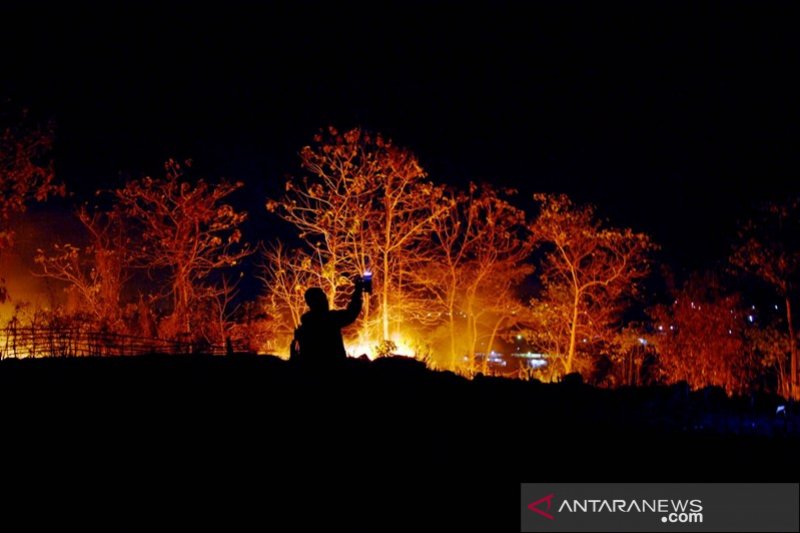 Kebakaran hutan di Gowa