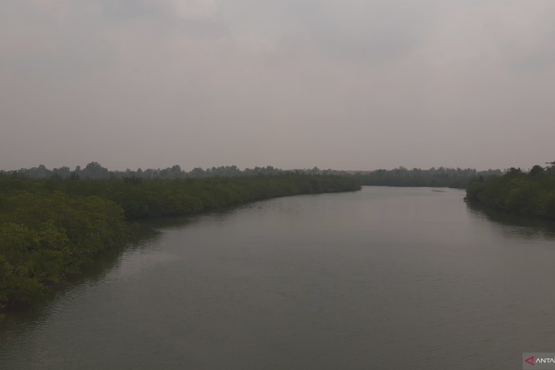 BMKG : Jarak pandang di Pulau Bintan makin pendek