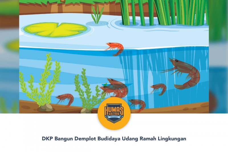 DKP Bangun Demplot Budidaya Udang Ramah Lingkungan