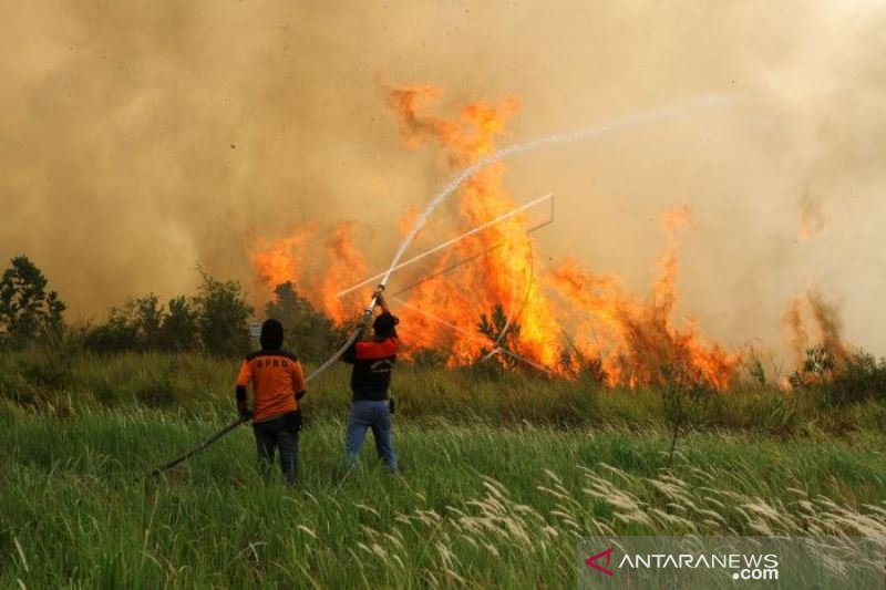 KEBAKARAN LAHAN GAMBUT DI KALSEL SEMAKIN MELUAS