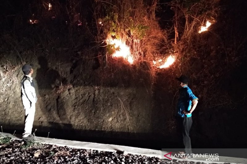 Ratusan hektare lahan perkebunan di Sukabumi terbakar