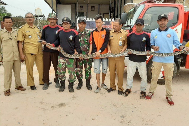 Karhutla di Seruyan ancam keberadaan satwa liar