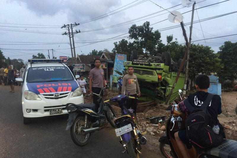 Truk terguling, 16 ekor sapi mati di lokasi