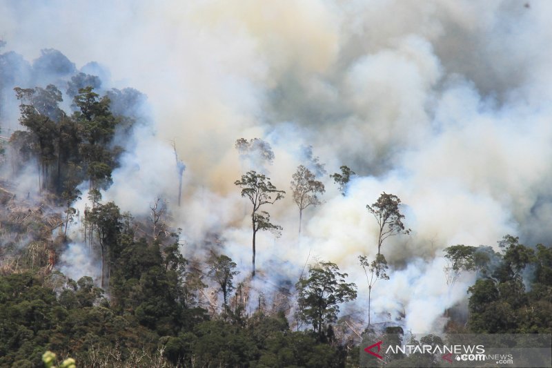 Dinkes Sumsel minta kabupaten dan kota cegah ISPA